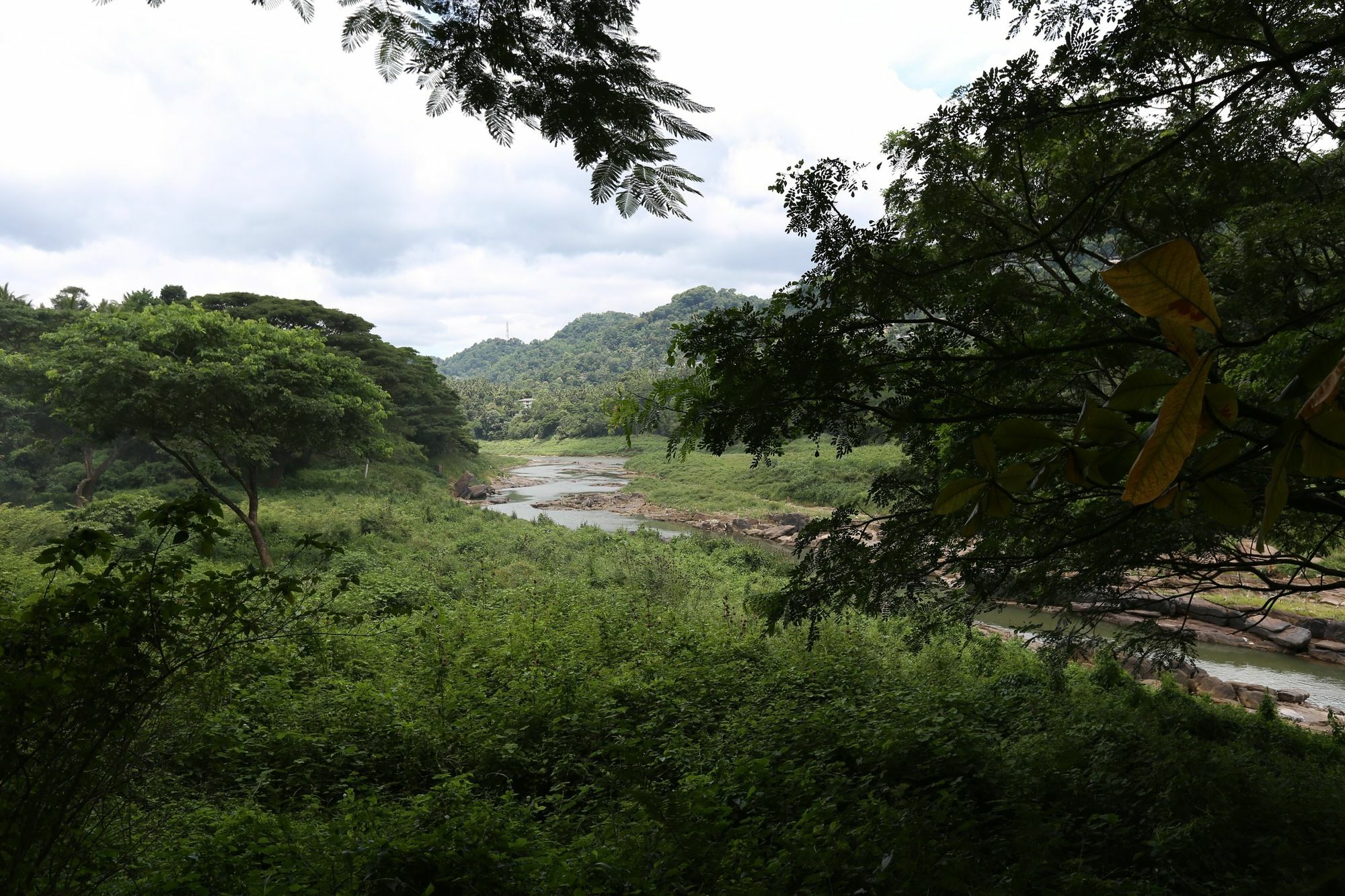 River Side Homestay Apartment Kandy Extérieur photo