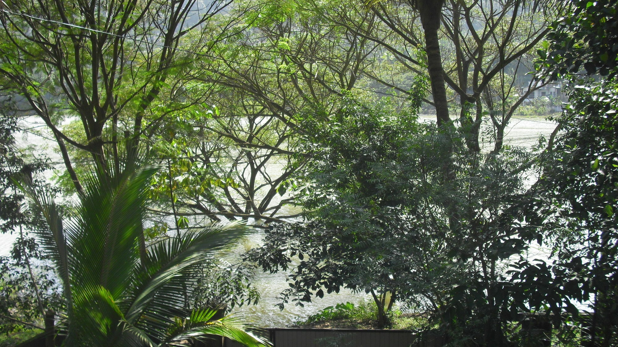 River Side Homestay Apartment Kandy Extérieur photo