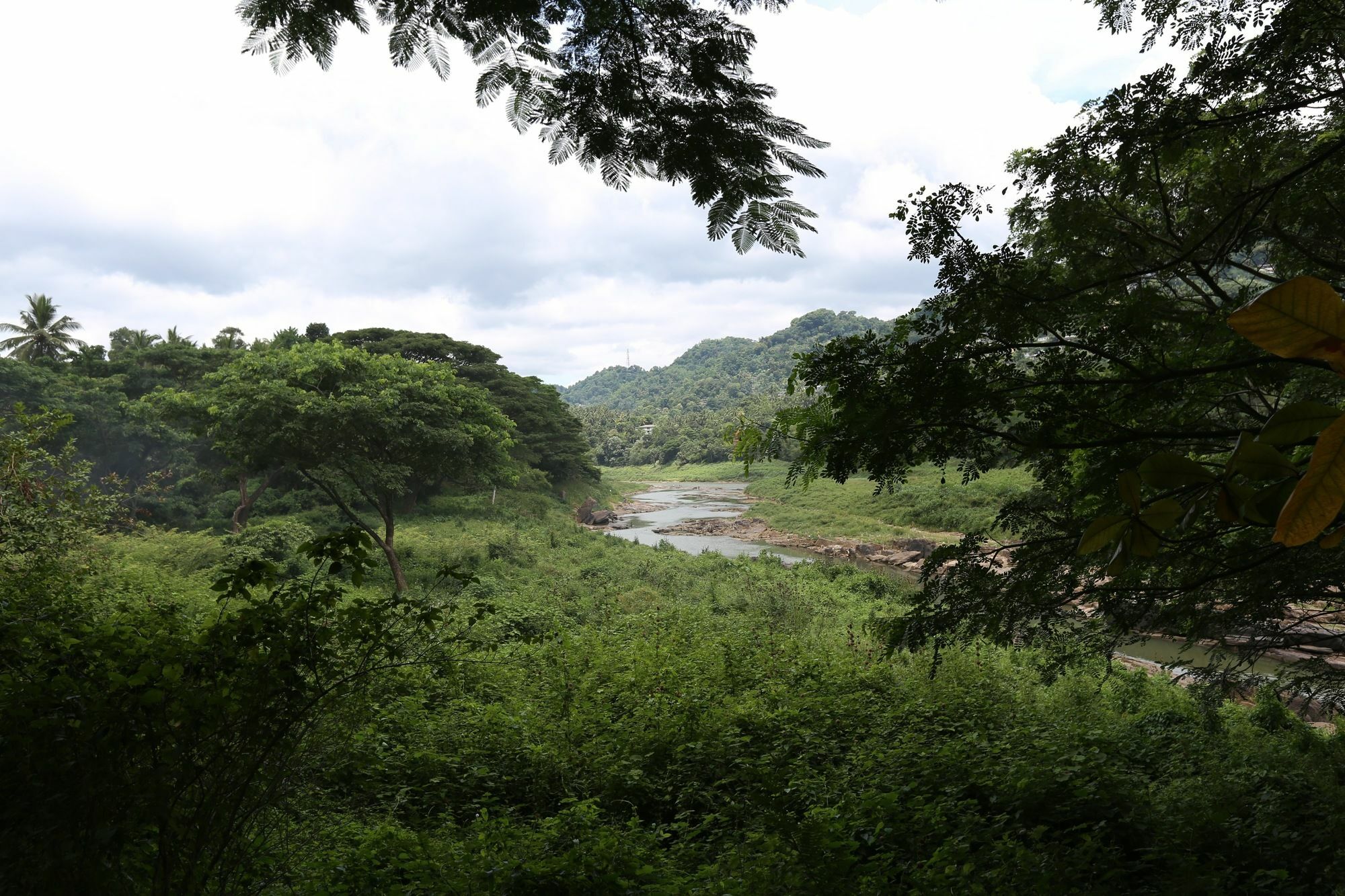 River Side Homestay Apartment Kandy Extérieur photo